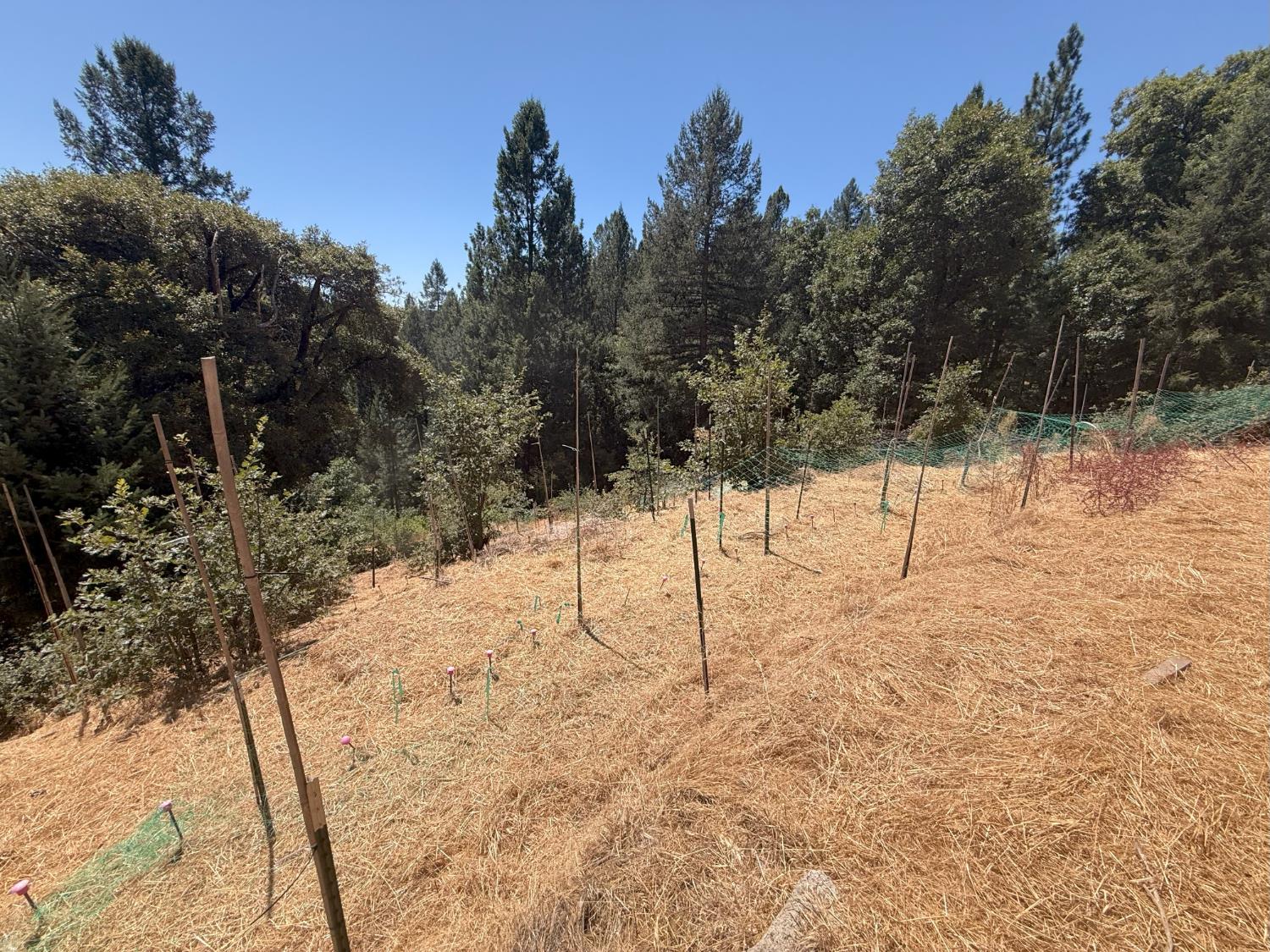 Land in Nevada City 2