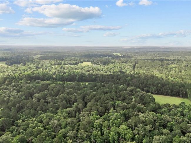 000 An County Road 100, Home with 0 bedrooms, 0 bathrooms and null parking in Elkhart TX | Image 9