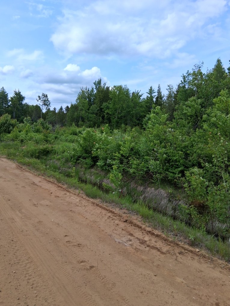 Land in Saint-Cuthbert 2