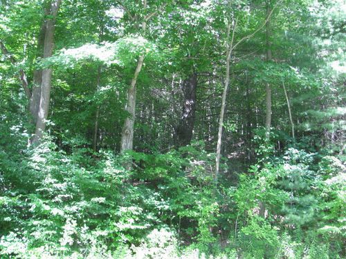 62054 State Route 415, Cohocton, NY, 14826-9689 | Card Image