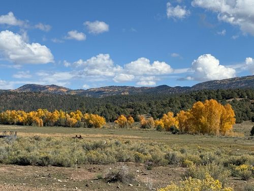 16853 Us Highway 64, Chama, NM, 87520 | Card Image