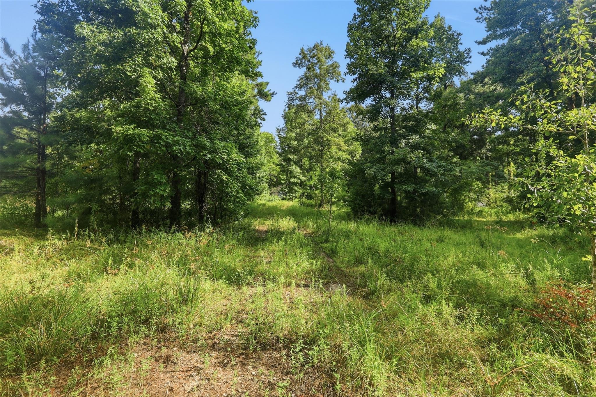 Land in New Caney