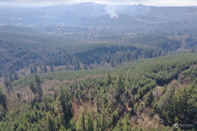 0 Ne Cedar Mist Rd, Home with 0 bedrooms, 0 bathrooms and null parking in AMBOY WA | Image 15