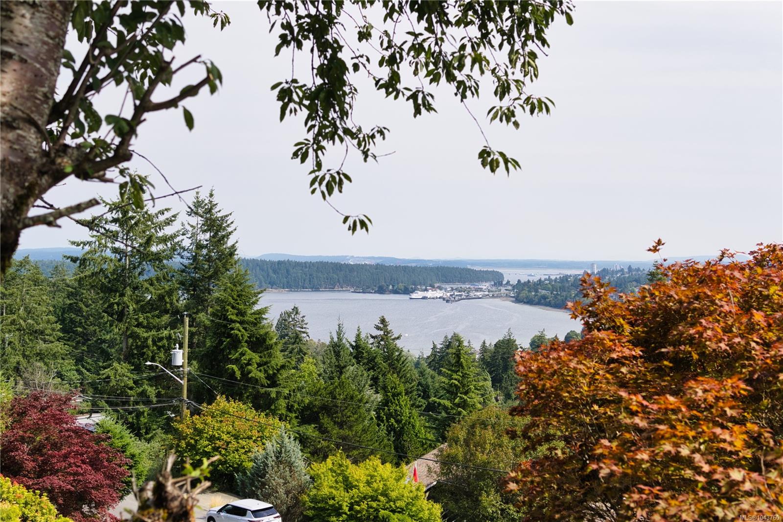 Residential in Nanaimo 4