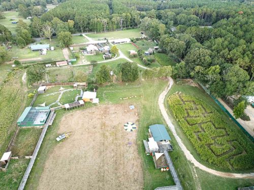 11342 Highway 955 E, Ethel, LA, 70730-4121 | Card Image