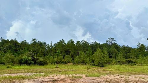 13255 Blackberry Dr, Lumberton, TX, 77657-1220 | Card Image