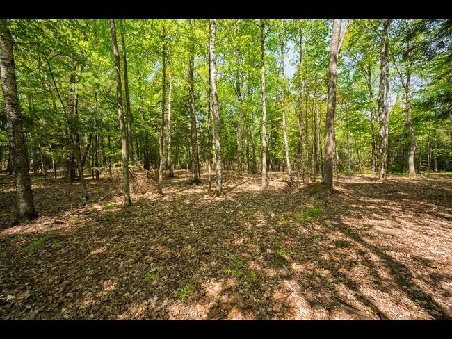 Lot 11 Kinderhook Trl, Home with 0 bedrooms, 0 bathrooms and null parking in Eagle River WI | Image 6