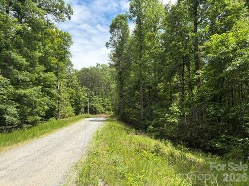 0 Peartree Dr, Lake Lure, NC, 28746 | Card Image