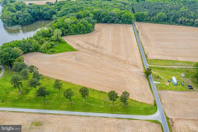 Lot 1 Zacata Rd, Home with 0 bedrooms, 0 bathrooms and null parking in Montross VA | Image 6