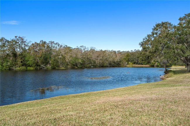 4320 Middle Lake Dr, House other with 4 bedrooms, 3 bathrooms and null parking in TAMPA FL | Image 51