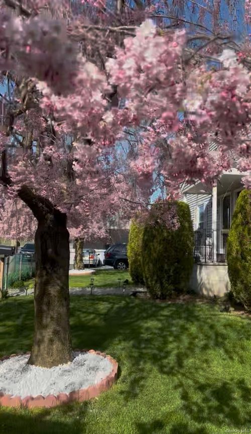 7 White Plains Ave, Elmsford, NY, 10523-2726 | Card Image