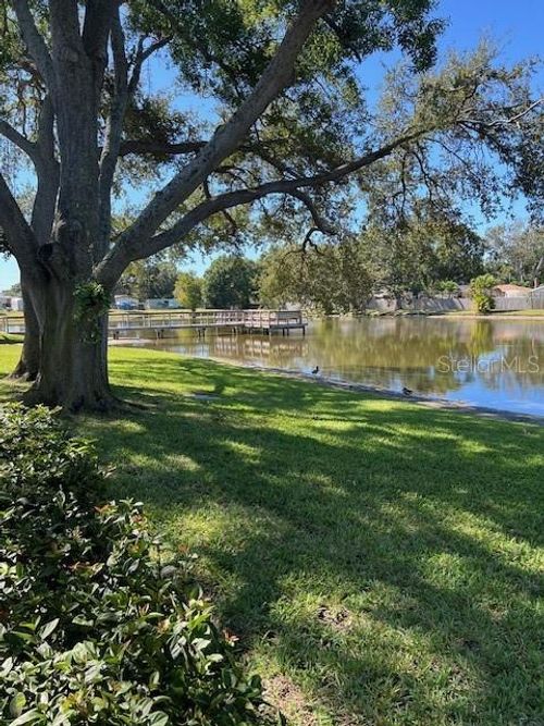 unit-k41-3823 N Oak Dr, TAMPA, FL, 33611-5844 | Card Image