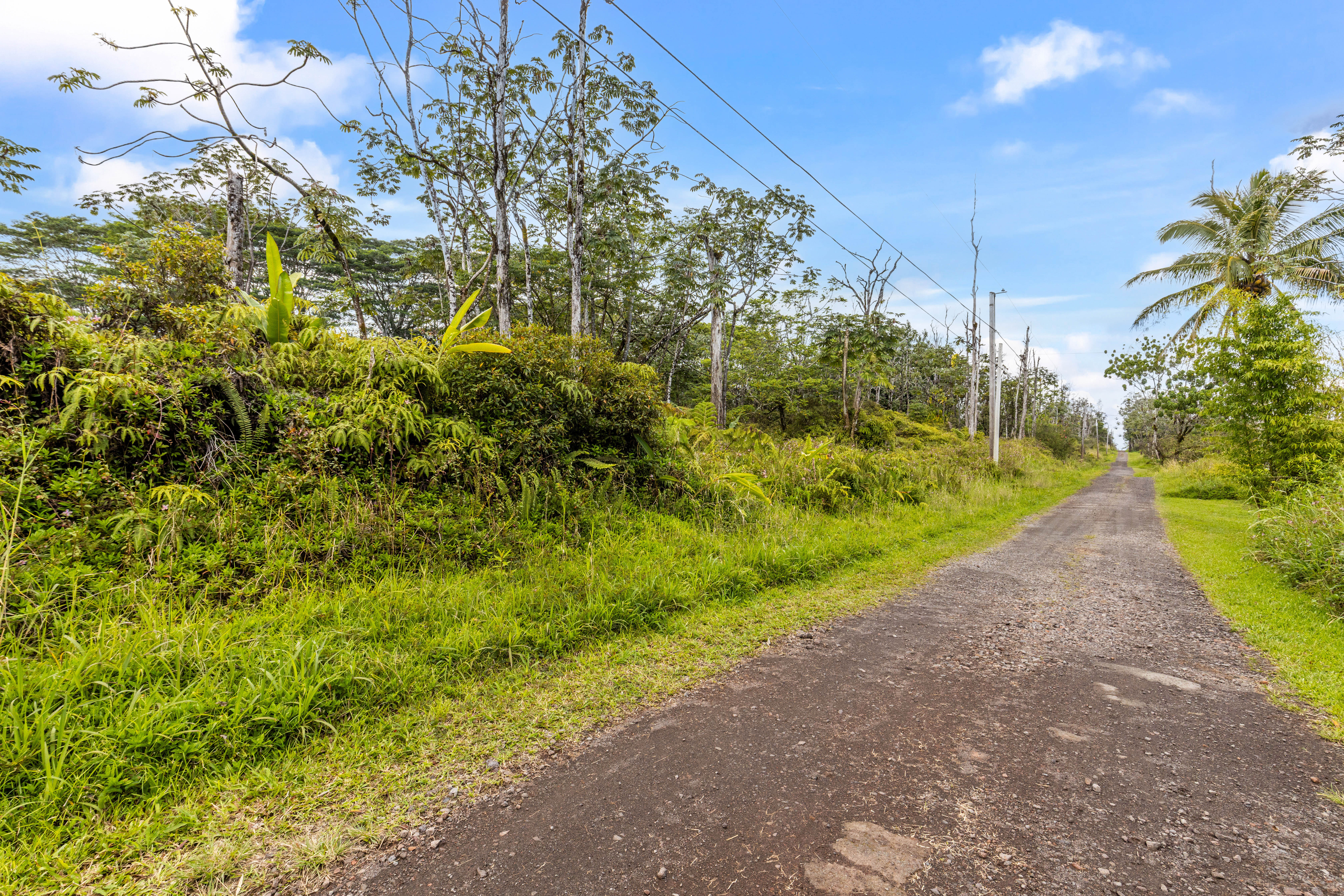Land in Kurtistown 3