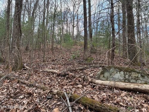 00 Chestnut Mountain Rd, Reliance, TN, 37369 | Card Image