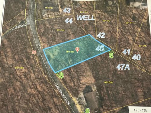 1452 Talking Rocks Rd. (Lot 45) Road, Branson West, MO, 65737 | Card Image