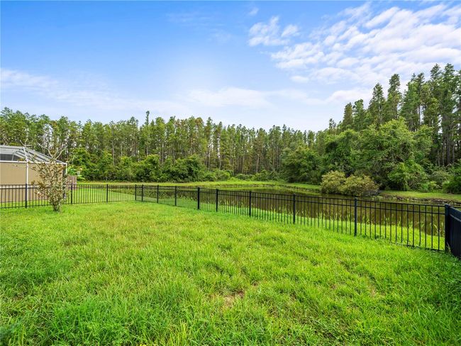 30638 Nickerson Loop, House other with 4 bedrooms, 2 bathrooms and null parking in WESLEY CHAPEL FL | Image 29