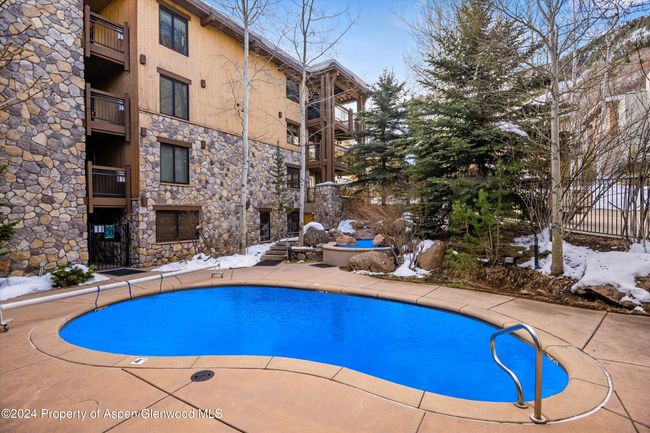 202 - 131 E Durant Ave, Condo with 2 bedrooms, 2 bathrooms and null parking in Aspen CO | Image 15