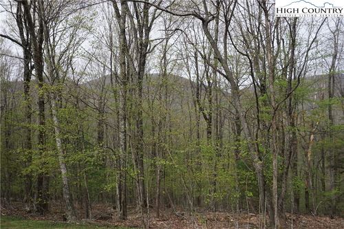 21 Fairway Ridge Dr, West Jefferson, NC, 28694 | Card Image