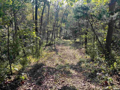 RR125 Road 125 N, Versailles, IL, 62378 | Card Image