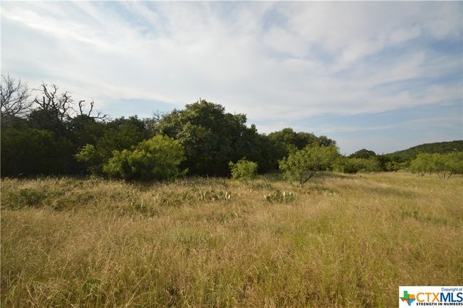 17426 N Highway 183, Home with 0 bedrooms, 0 bathrooms and null parking in Lometa TX | Image 6