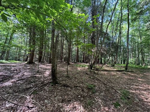 5757 State Highway 7, Oneonta, NY, 13820 | Card Image