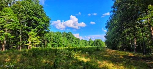 000 Old Gordon Rd, Grandview, TN, 37337 | Card Image