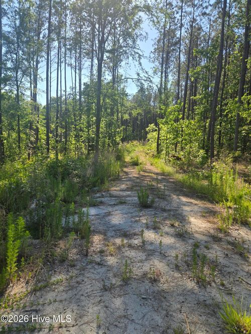 1048 Serenity Pointe Drive, Lincolnton, GA, 30817 | Card Image