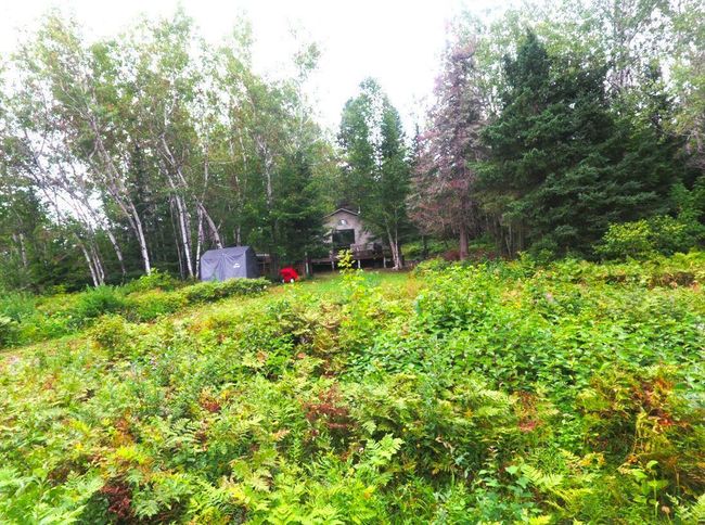 Clearing in front of Cabin | Image 14