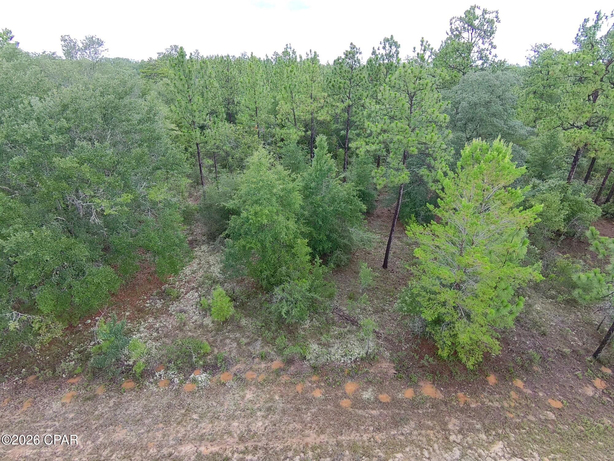 Land in Chipley