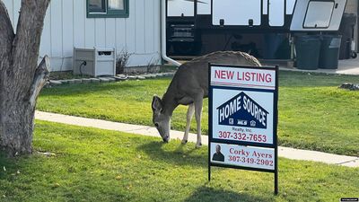 260 Smith Street, House other with 3 bedrooms, 2 bathrooms and null parking in Lander WY | Image 2