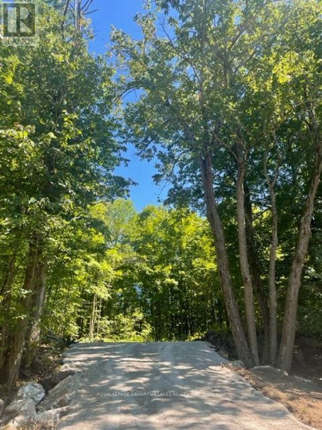 Lt 33 Benson Blvd, Home with 0 bedrooms, 0 bathrooms and null parking in Coboconk ON | Image 25