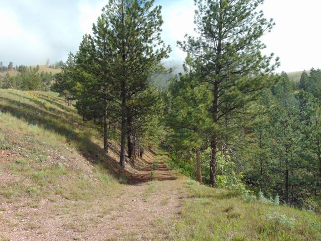 27235 Lazy Springs Rd, Home with 0 bedrooms, 0 bathrooms and null parking in Clinton MT | Image 40