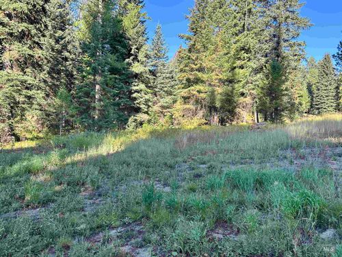 17 Andy Ln, Donnelly, ID, 83615-1009 | Card Image