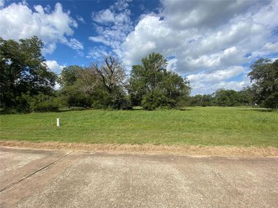 275 Horse Shoe Trail, Home with 0 bedrooms, 0 bathrooms and null parking in Angleton TX | Image 3