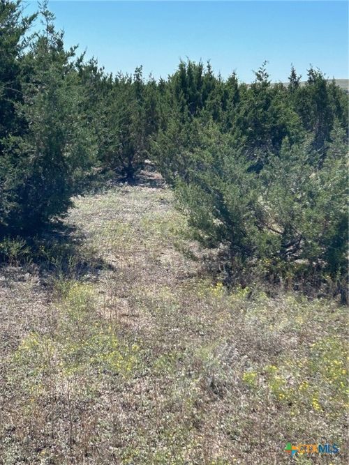 101 Cedar Hill Drive, Gatesville, TX, 76528 | Card Image