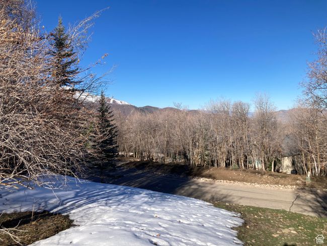 View of mountain feature with a wooded view | Image 16