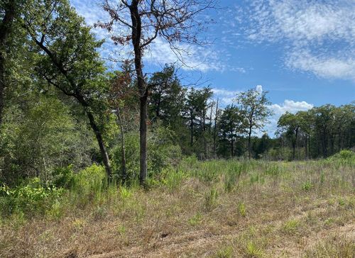TBD High Crossing Rd, Smithville, TX, 78957 | Card Image
