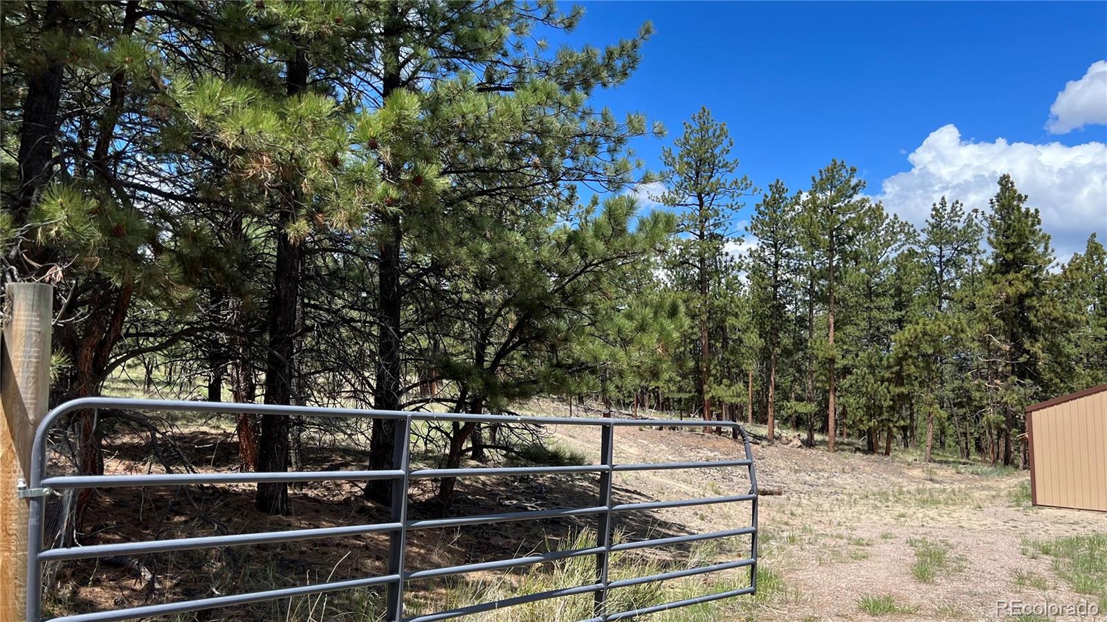 Land in Westcliffe 4