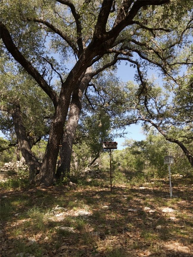 101 Hillview Trl, Home with 3 bedrooms, 2 bathrooms and null parking in Dripping Springs TX | Image 11