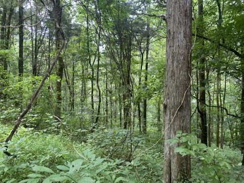 Lot 35 Eagle Ridge Rd, Granville, TN, 38564 | Card Image