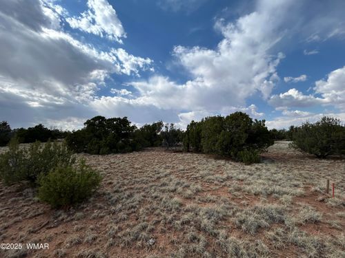 291 County Road 8052, Concho, AZ, 85924 | Card Image