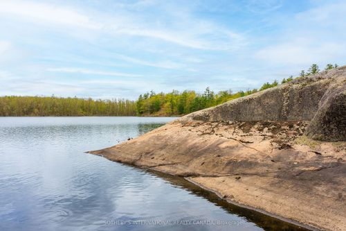 1074 Cooks Rd, Gravenhurst, ON, P1P1R3 | Card Image