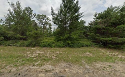 TBD Sw 177th Lane Rd, Ocala, FL, 34473 | Card Image