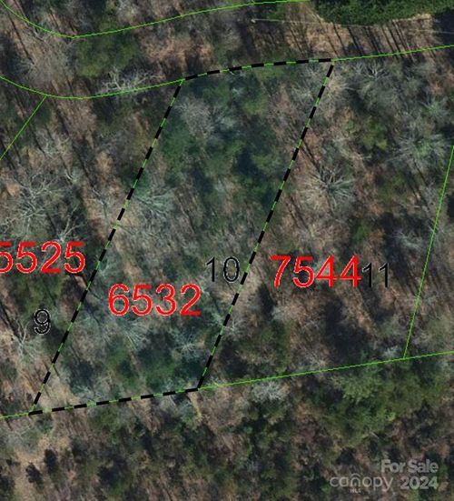 lot-10-TBD Biggerstaff Loop, Nebo, NC, 28761 | Card Image