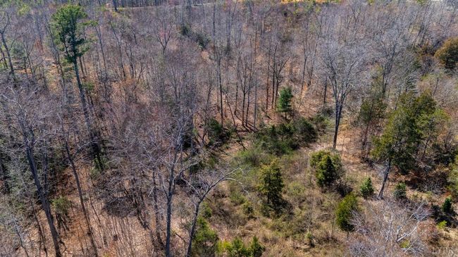 0 Norwood Rd, Home with 0 bedrooms, 0 bathrooms and null parking in GLADSTONE VA | Image 28
