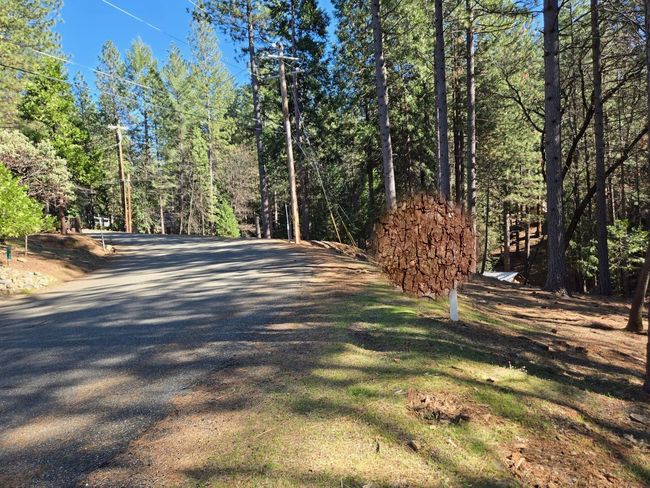 5701 Lupin Lane, Home with 0 bedrooms, 0 bathrooms and null parking in Pollock Pines CA | Image 23