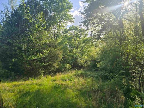 396 Bob Haas Road, Hollywood, AL, 35752 | Card Image