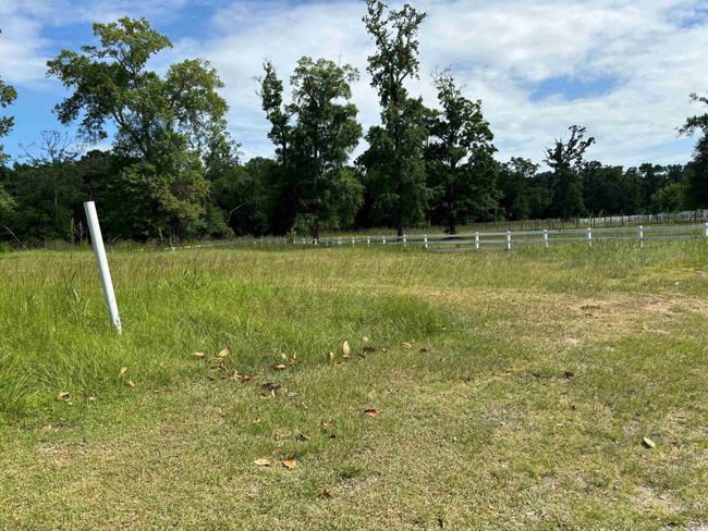 View of yard with a rural view | Image 8