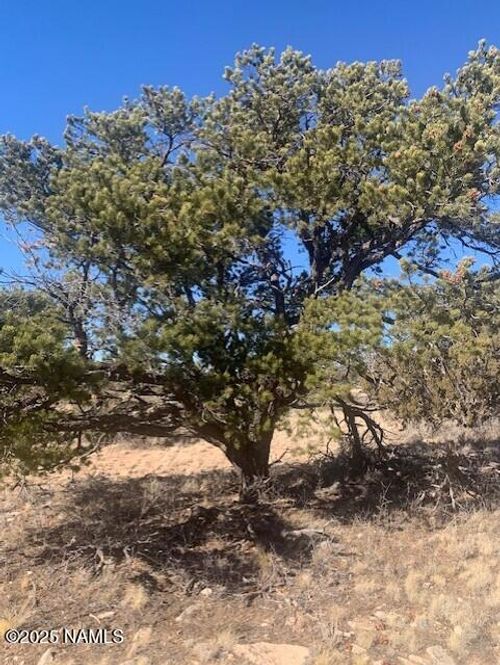 10563 W Bright Sky Trl, Williams, AZ, 86046 | Card Image