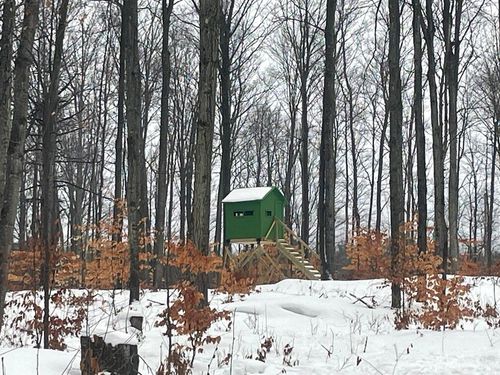 20350 Lindy Road, Copemish, MI, 49625 | Card Image